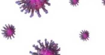 Алергологія: уніфікований клінічний протокол по алергічному риніту