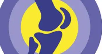 Суглоб. Хрящ. Колаген