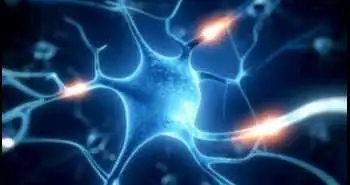 Порівняння ефективності застосування дулоксетину та нортриптиліну у пацієнтів з больовою нейропатією