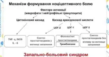 Механізм формування ноціцeптивного болю