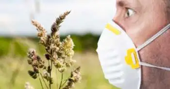 Ефективність та безпека застосування рупатадину в лікуванні цілорічного алергічного риніту