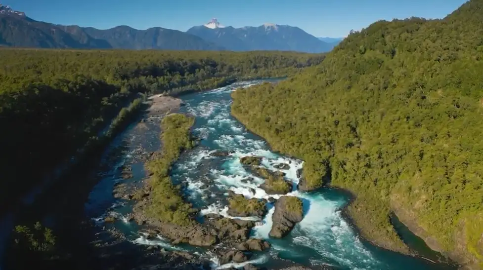 неврологія